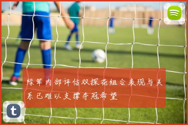 绿军内部评估双探花组合表现与关系已难以支撑夺冠希望