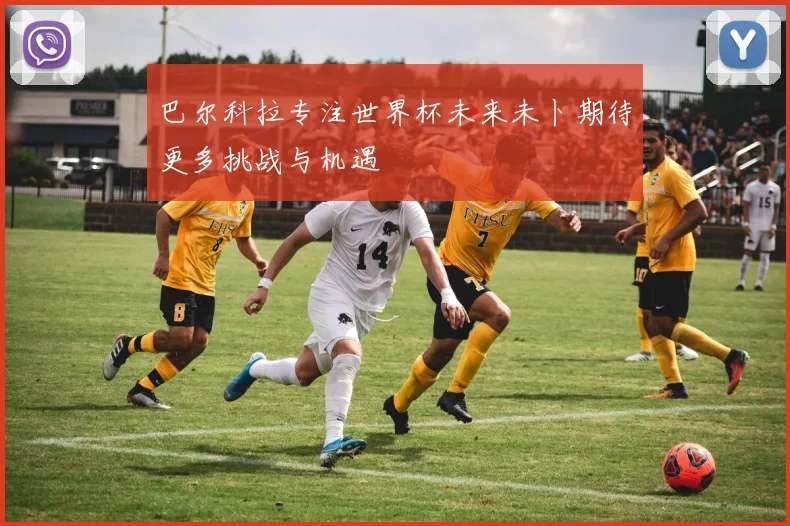 巴尔科拉专注世界杯未来未卜期待更多挑战与机遇